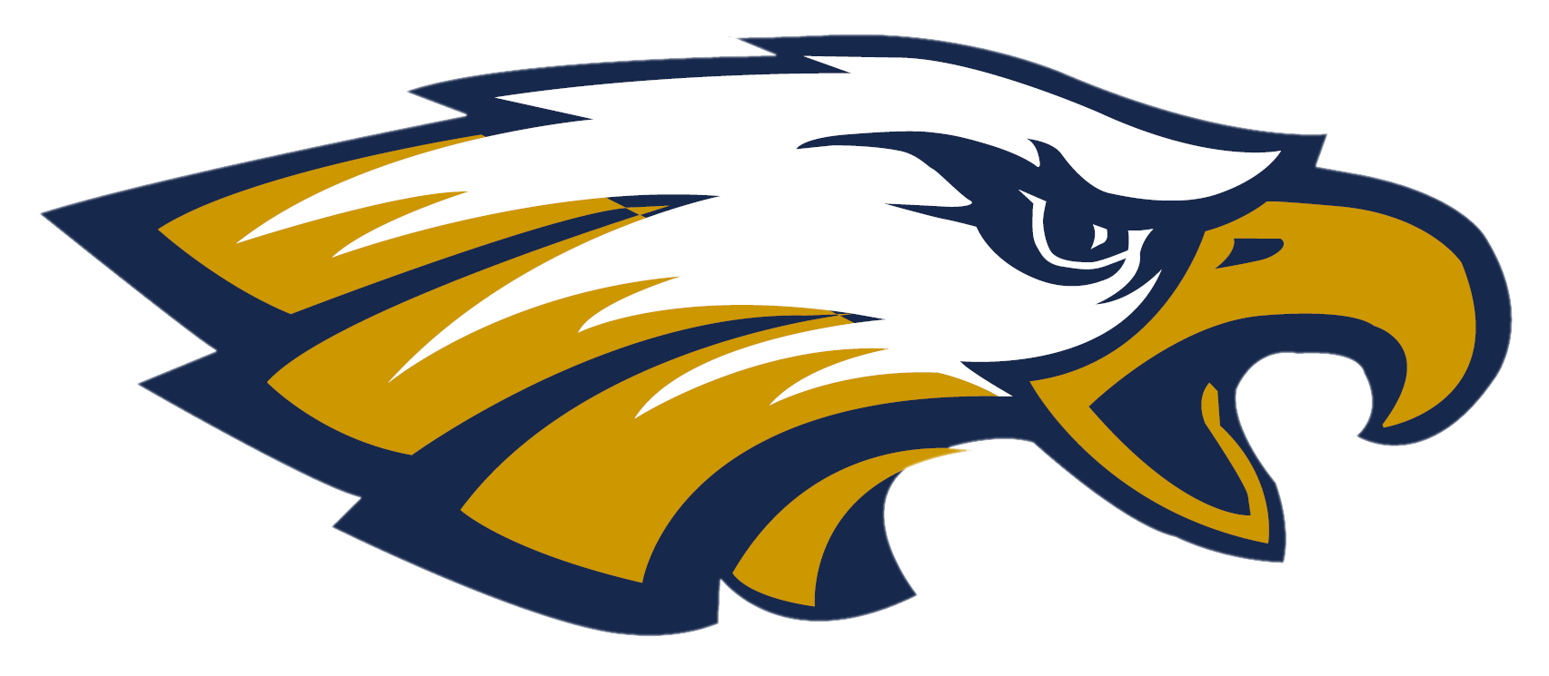 Skyline High School